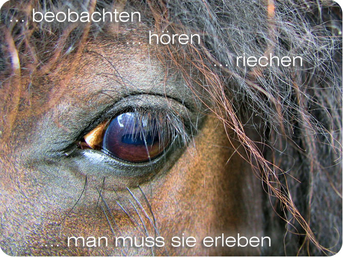Willkommen